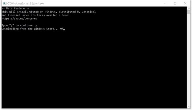 como activar bash windows 8